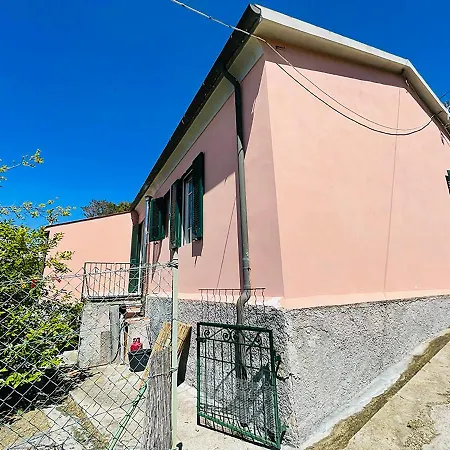 Viticcio Aurora E Fiorita - Goelba Portoferraio