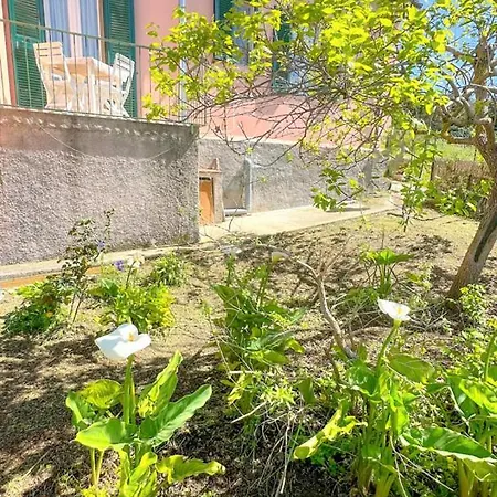 Viticcio Aurora E Fiorita - Goelba Apartment *
