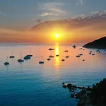 Viticcio Aurora E Fiorita - Goelba