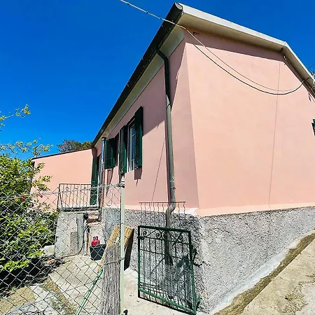 Viticcio Aurora E Fiorita - Goelba Portoferraio
