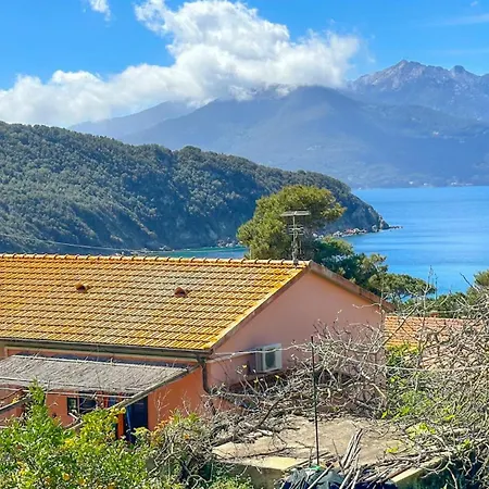 Viticcio Aurora E Fiorita - Goelba *